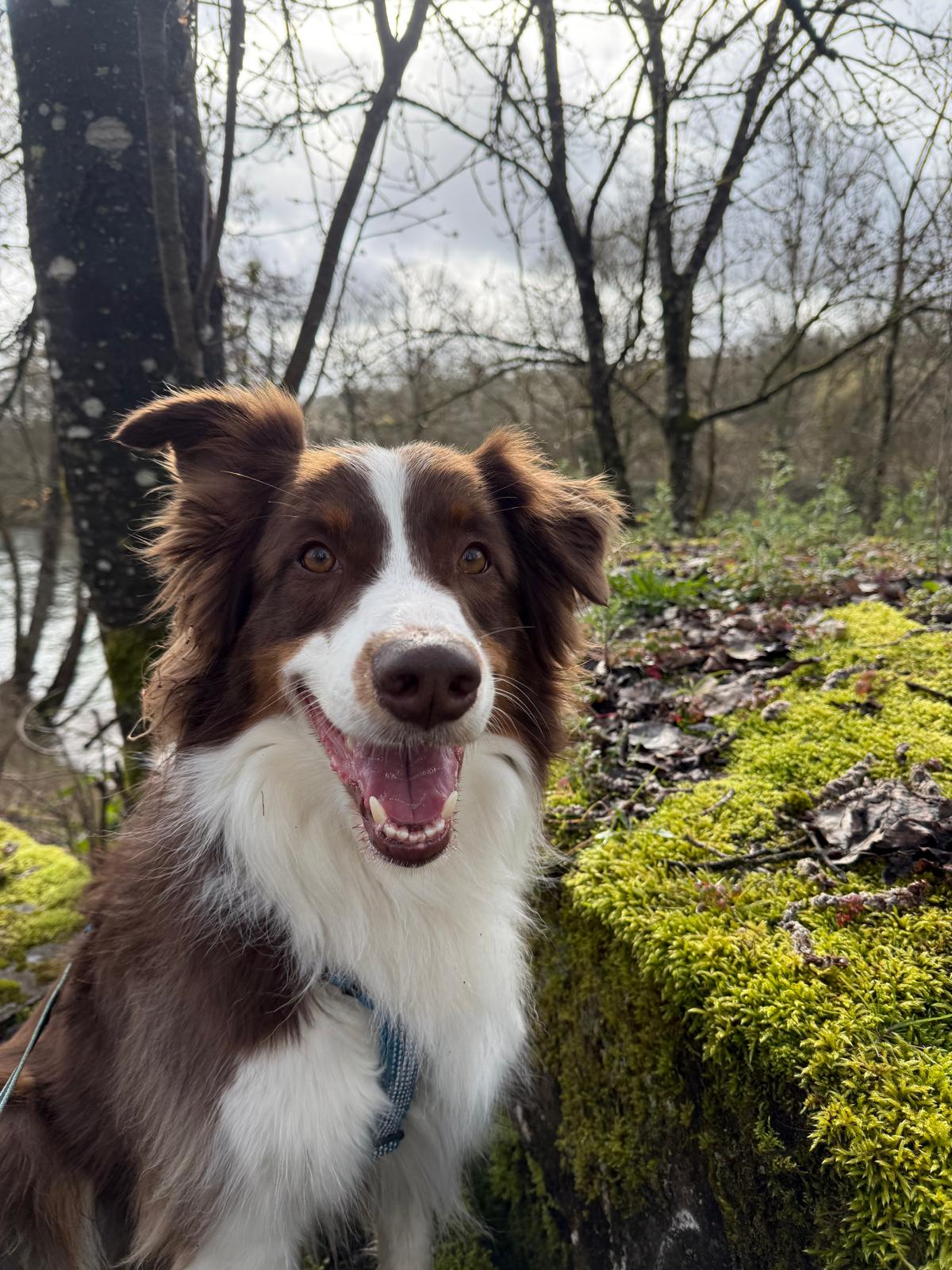 Rusty en action